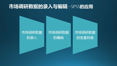 市场调研统计方法论 从数据收集到精准洞察